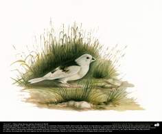 Pintura “Un ave” - Óleo sobre lienzo; artista Kamal ol-Molk (24)