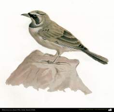Drawing of a bird - Persian painting - By prof.Kamal ol-Molk (1902)