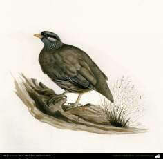 Dibujo de un ave, (hacia 1902); Artista: Kamal ol-Molk (2)