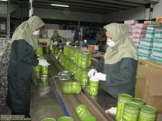 Femmes musulmanes et le travail - Des femmes musulmanes employées dans une usines