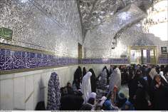 Мусульманская женщина - Религиозная деятельность мусульманских женщин - Святой храм Имама Резы (мир ему) - В городе Мешхеда , Иран 70
