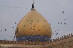 حضرت علی (ع) کے روضہ کی گنبد ، شہر نجف اشرف ، عراق - ۲۰