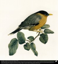 “Un Pájaro” - Óleo sobre lienzo; artista Kamal ol-Molk