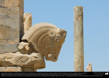 Arquitectura Preislámica - Persépolis, o Pars o Tajt-e Yamshid «el trono de Yamshid», cerca de Shiraz - 20