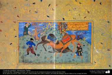 الفن الإسلامي – تحفة من المنمنمة الفارسية – معرکة مع الإبل - من الکتاب &quot; مرقع کلشن&quot; – 1605.1628