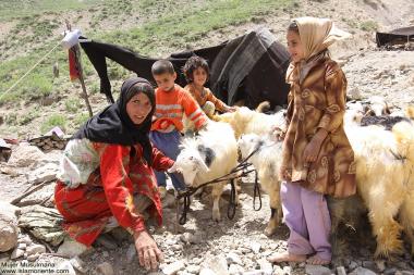  Работа мусульманских женщин - Пастушка