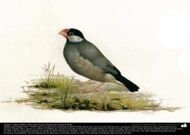 “Pájaro” (hacia 1890) - Óleo sobre lienzo; Pintura de Kamal ol-Molk (7)