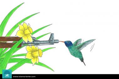 Hummingbird and terrorism (caricature)